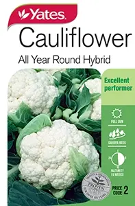 Cauliflower - All Year Round