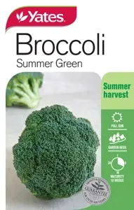 Broccoli - Summer Green