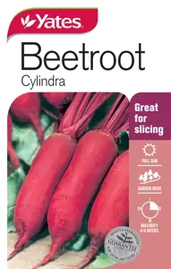 Beetroot - Cylindra