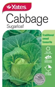 Cabbage - Sugarloaf