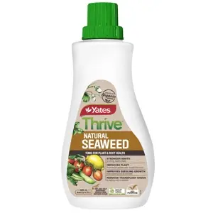 Yates Thrive Natural Seaweed Tonic